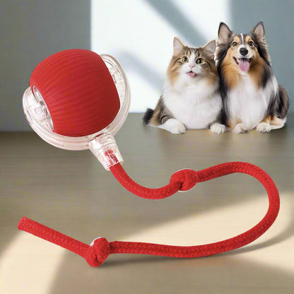 PawPursuit